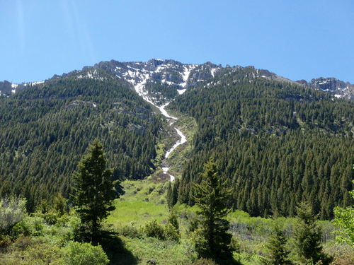 GDMBR: The uphill view from the Upper Red Rock Lake Camp Ground.